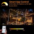 Yuusei Smart Guirnalda Luces Exterior 30M, Regulable Guirnaldas Luminosas Exterior LED Control por WiFi Bluetooth Compatibles con Alexa Reacondicionado Online Sale